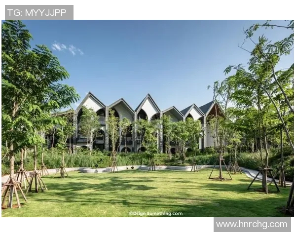 足球明星蚂蚁森林的神秘地点揭秘与探索之旅 足球明星蚂蚁森林的神秘地点揭秘与探索之旅