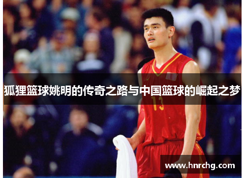 狐狸篮球姚明的传奇之路与中国篮球的崛起之梦