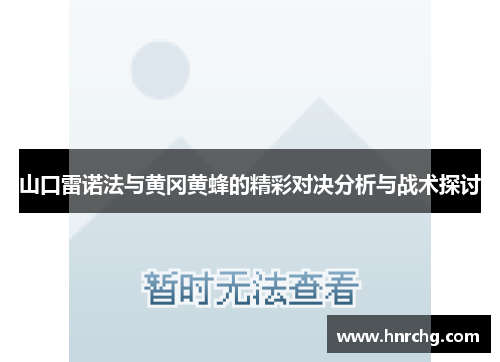 山口雷诺法与黄冈黄蜂的精彩对决分析与战术探讨