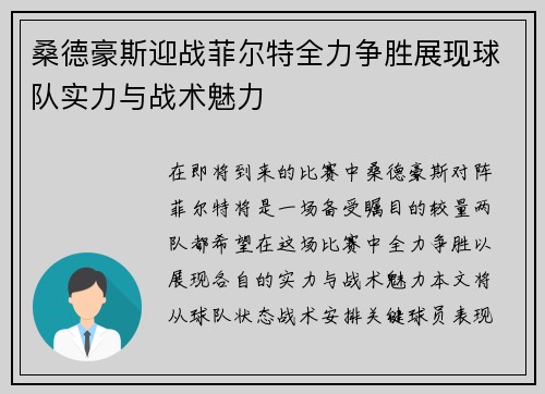 桑德豪斯迎战菲尔特全力争胜展现球队实力与战术魅力
